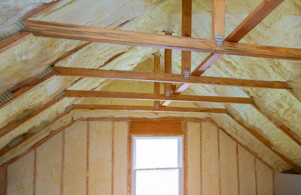 Best Geographic-Specific Insulation Services in Ava, MO