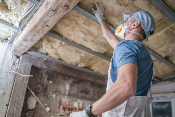 Best DIY Insulation Kits and Guidance in Ava, MO