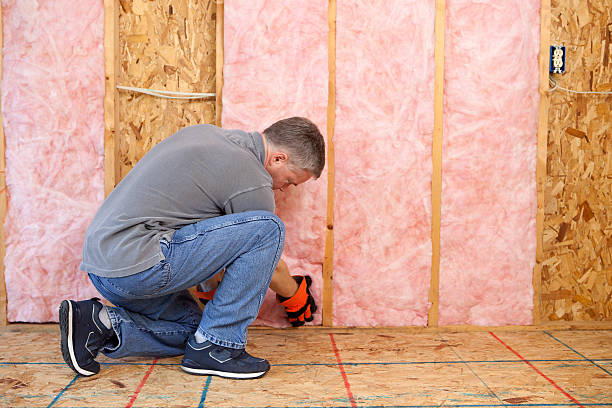Best Residential Insulation in Ava, MO