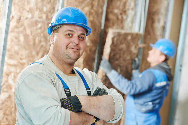 Best Insulation Maintenance and Repair in Ava, MO
