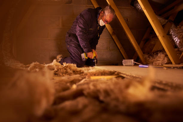Best Spray Foam Insulation in Ava, MO