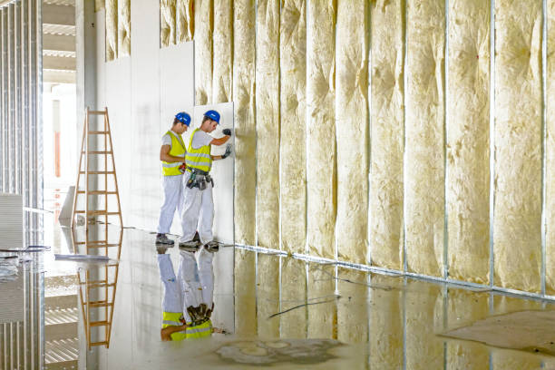 Best Specialized Insulation Services in Ava, MO